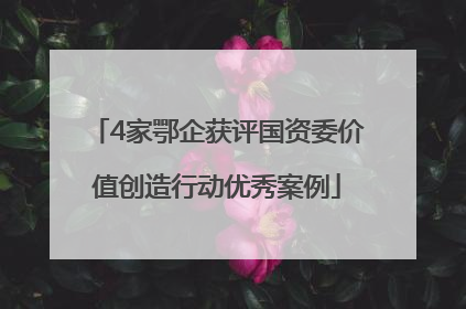 4家鄂企获评国资委价值创造行动优秀案例