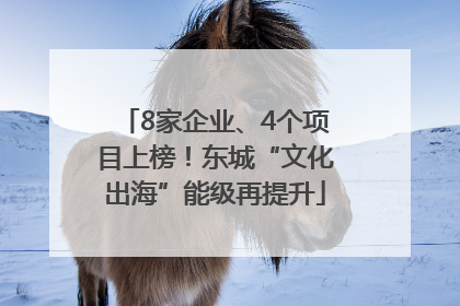 8家企业、4个项目上榜！东城“文化出海”能级再提升