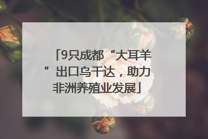 9只成都“大耳羊”出口乌干达，助力非洲养殖业发展