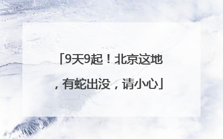 9天9起！北京这地，有蛇出没，请小心