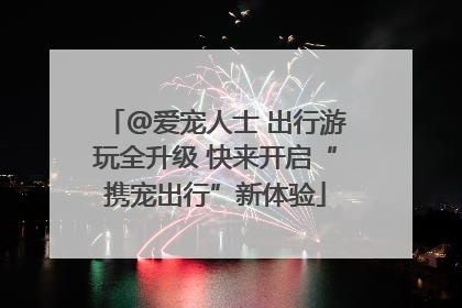@爱宠人士 出行游玩全升级 快来开启“携宠出行”新体验